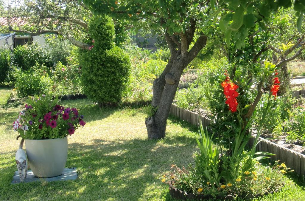 아제이타오 Quinta Da Harmonia 아파트 외부 사진