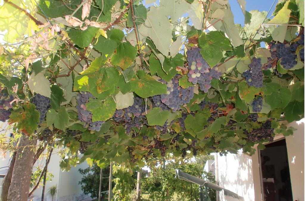 아제이타오 Quinta Da Harmonia 아파트 외부 사진